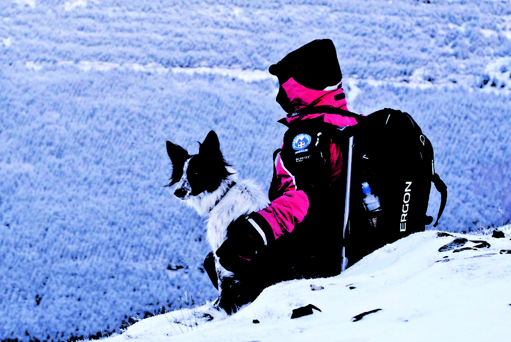 Search Dogs England Mountain Rescue England and Wales